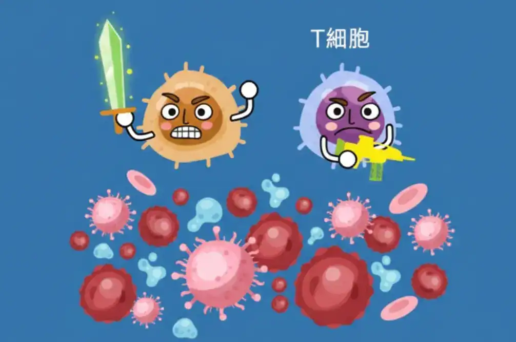 免疫系統